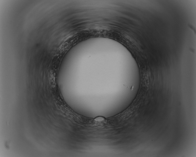 X0000103221013200809111503