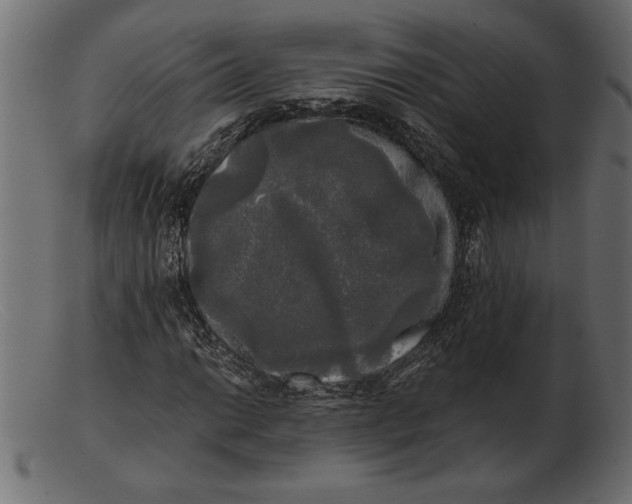 X0000103221014200809111503