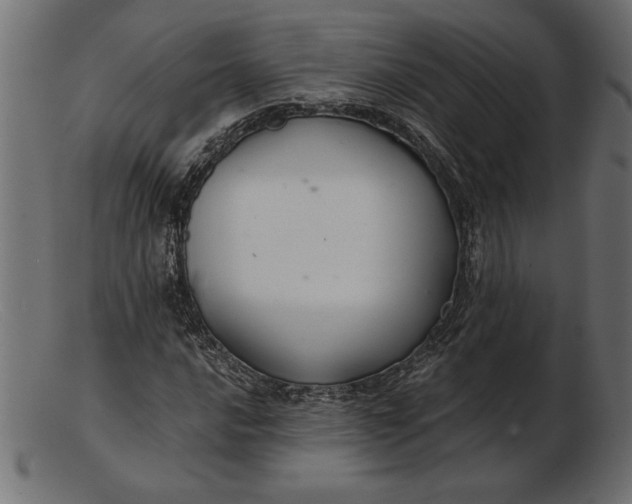 X0000103221016200809111503