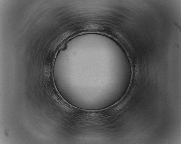 X0000103221017200809111503