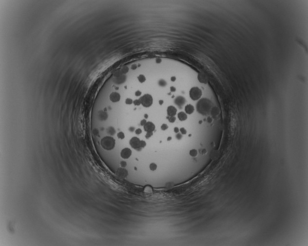 X0000103221018200809111503