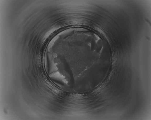 X0000103221019200809111503