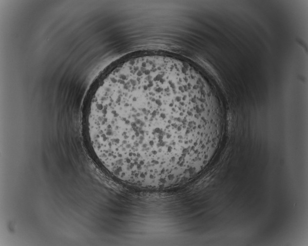 X0000103221020200809111503