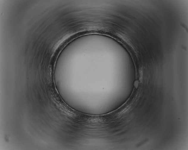 X0000103221021200809111503