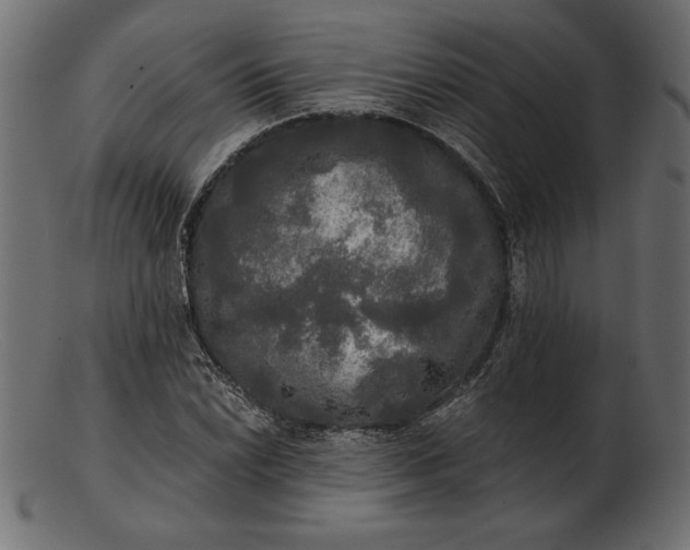 X0000103221022200809111503