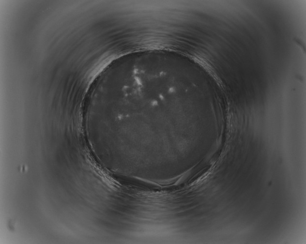 X0000103221023200809111503