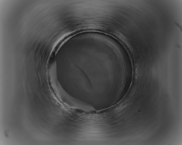 X0000103221024200809111503