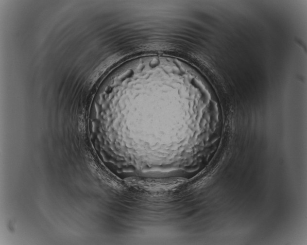 X0000103221025200809111503