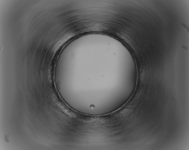 X0000103221026200809111503