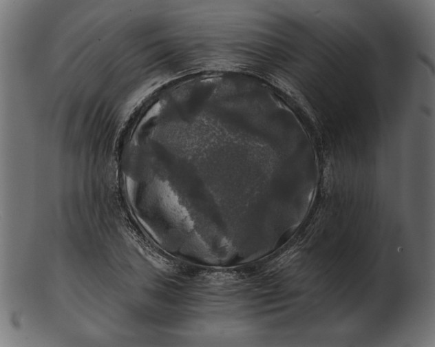 X0000103221027200809111503