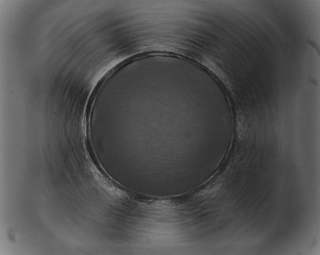 X0000103221028200809111503