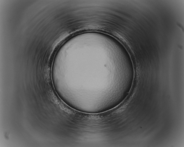 X0000103221029200809111503