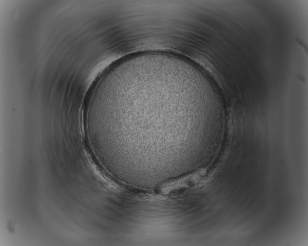 X0000103221030200809111503