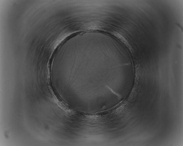 X0000103221031200809111503