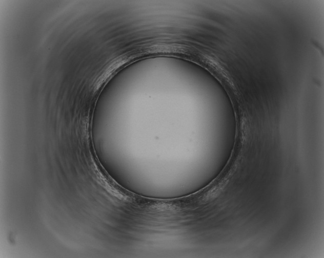 X0000103221033200809111503