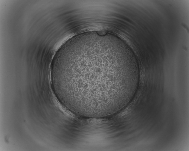 X0000103221034200809111503