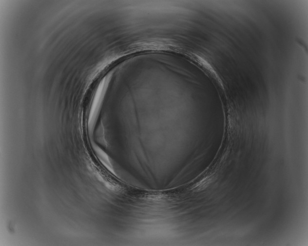 X0000103221035200809111504