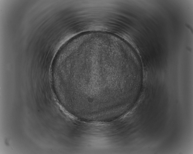 X0000103221037200809111504