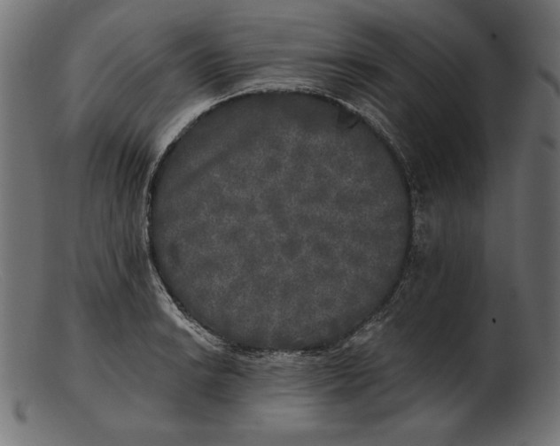 X0000103221038200809111504