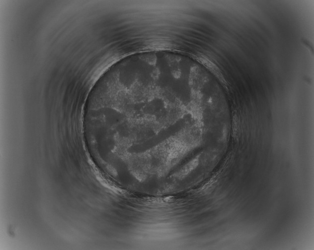 X0000103221039200809111504