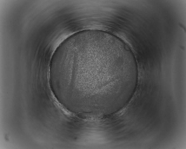 X0000103221040200809111504