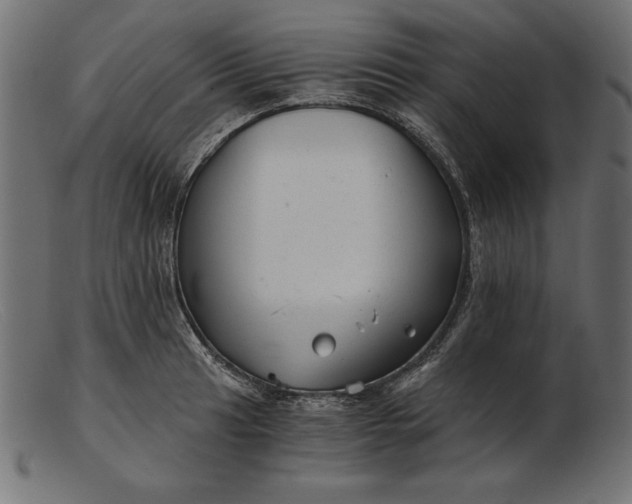 X0000103221041200809111504