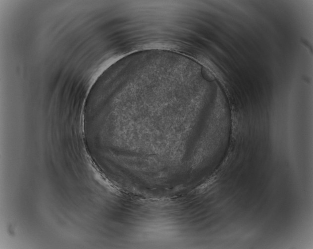 X0000103221044200809111504