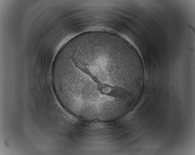 X0000103221045200809111504