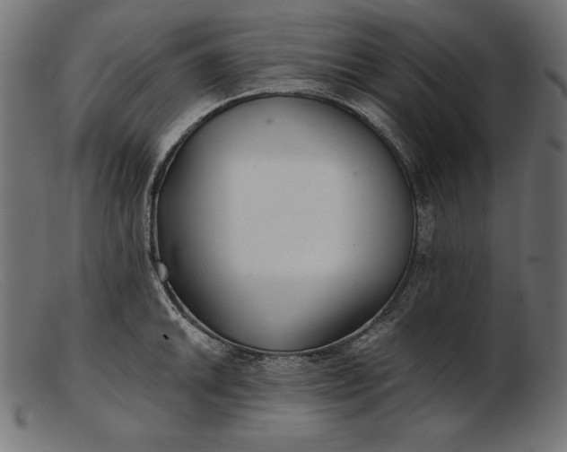 X0000103221046200809111504