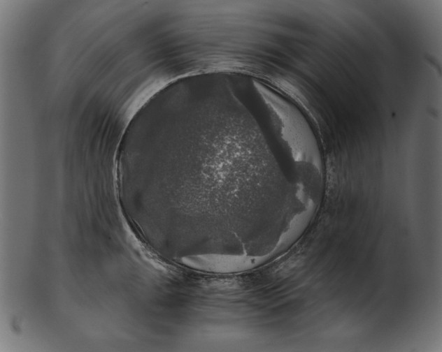 X0000103221047200809111504