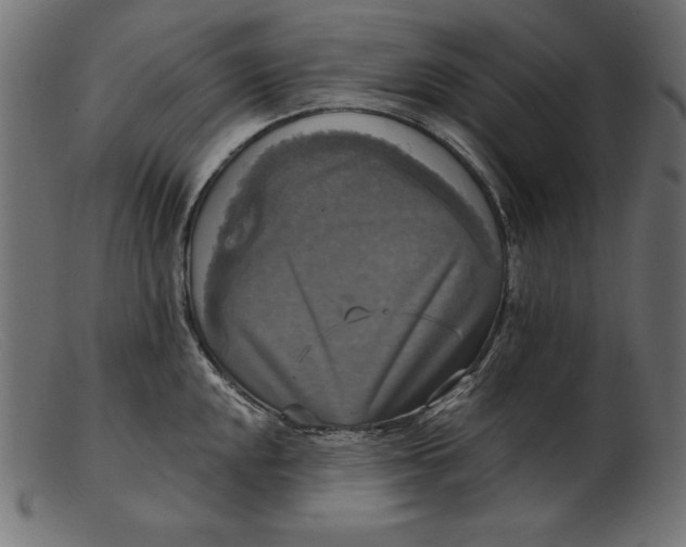 X0000103221048200809111504