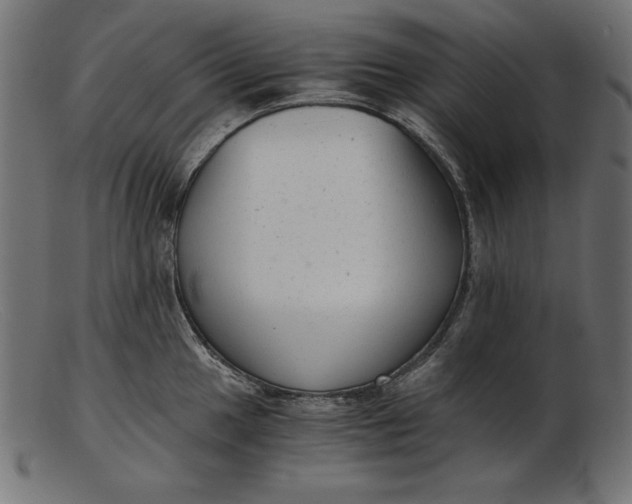 X0000103221049200809111504