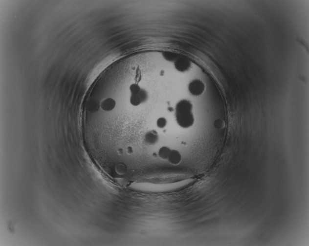 X0000103221050200809111504