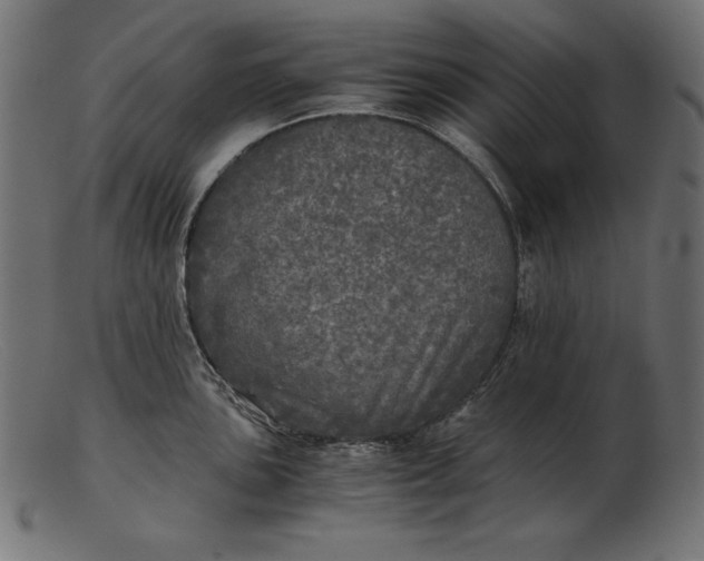 X0000103221051200809111504