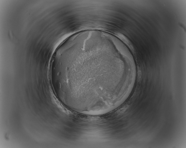 X0000103221052200809111504