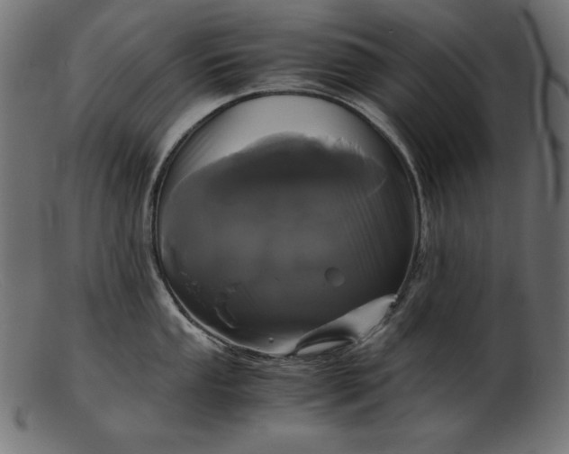 X0000103221053200809111504