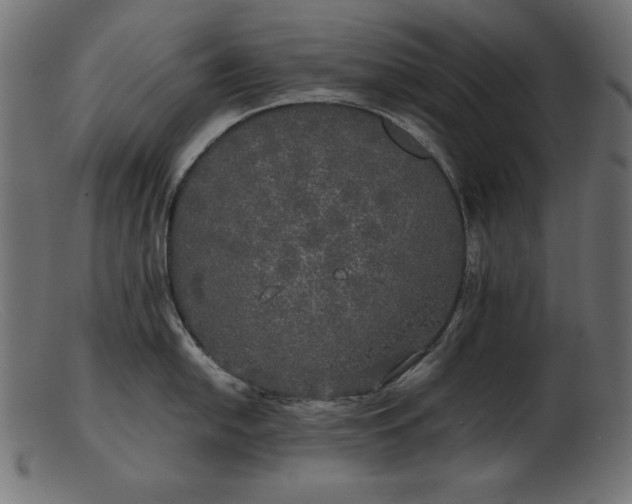 X0000103221054200809111504