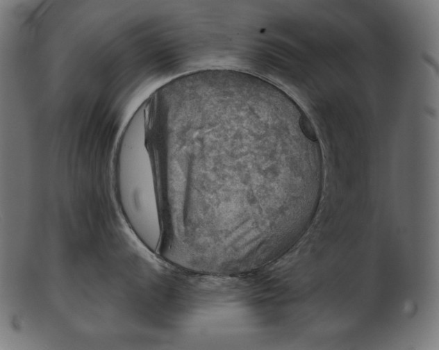 X0000103221056200809111504