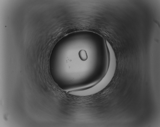 X0000103221057200809111503