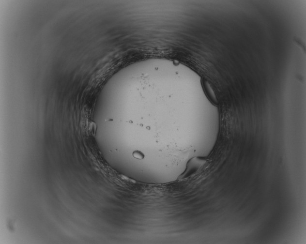 X0000103221058200809111503