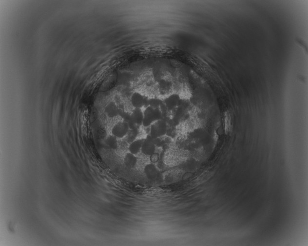 X0000103221059200809111503