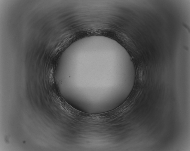 X0000103221060200809111503