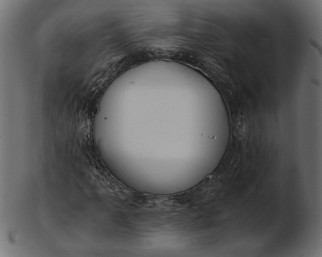 X0000103221061200809111503