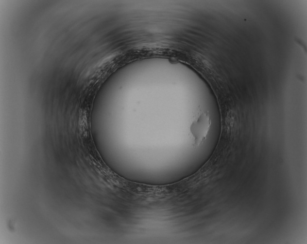 X0000103221062200809111503