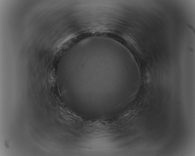 X0000103221063200809111503