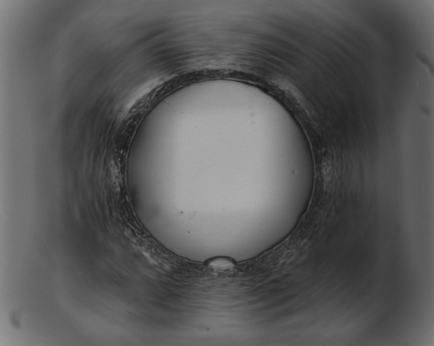 X0000103221064200809111503