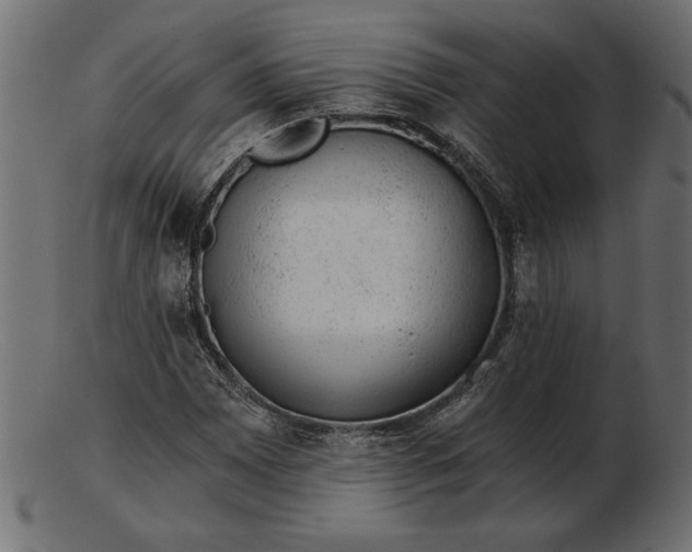 X0000103221065200809111503