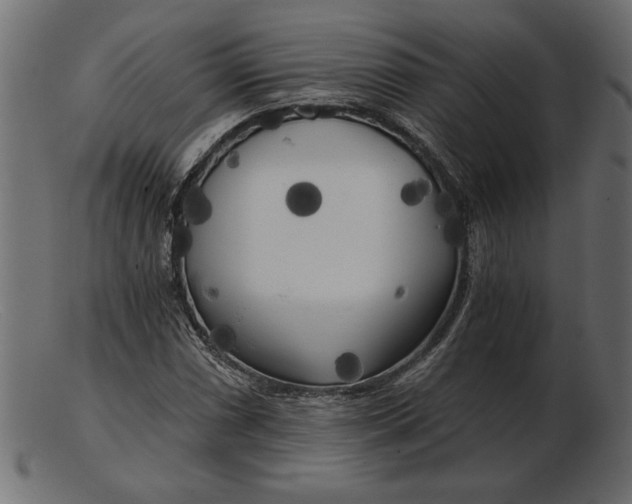 X0000103221066200809111503