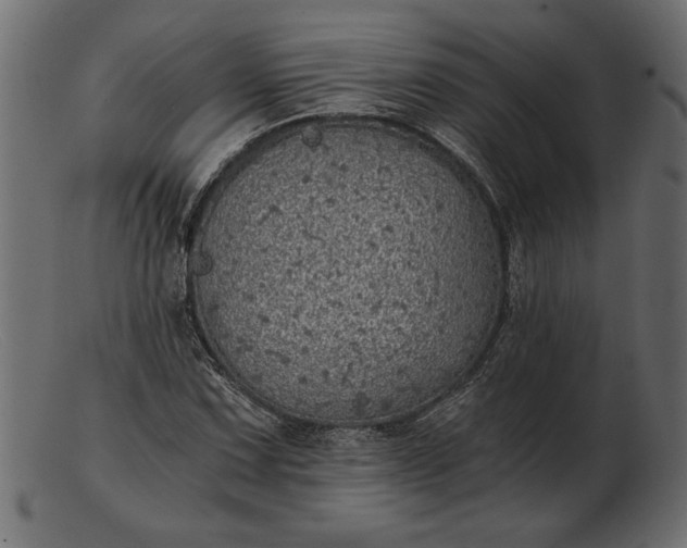 X0000103221067200809111503