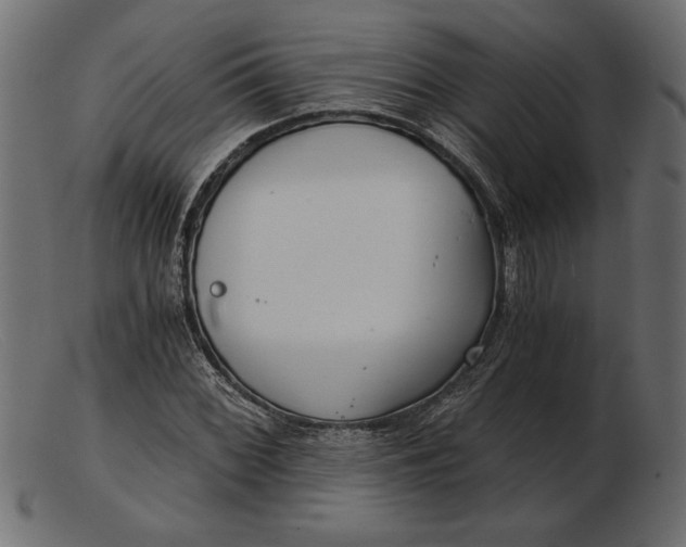 X0000103221068200809111503